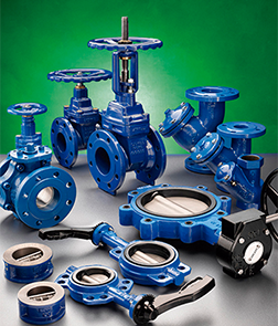 Pharmaceutical Industry